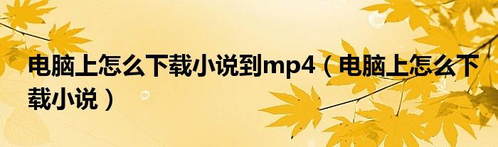 电脑上怎么下载小说到mp4（电脑上怎么下载小说）