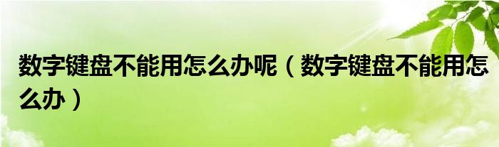 数字键盘不能用怎么办呢（数字键盘不能用怎么办）