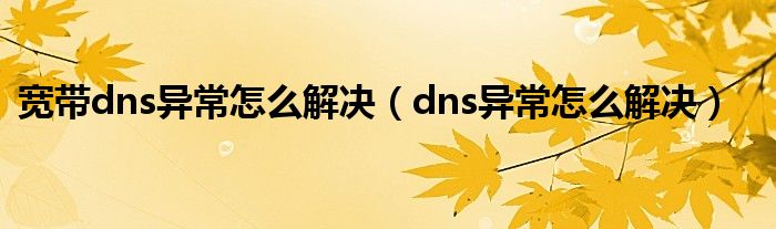 宽带dns异常怎么解决（dns异常怎么解决）