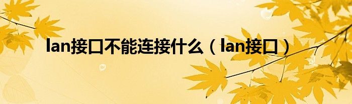 lan接口不能连接什么（lan接口）