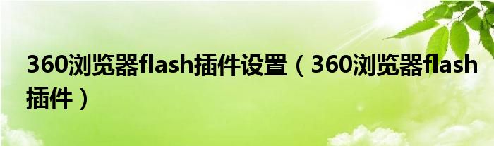 360浏览器flash插件设置（360浏览器flash插件）