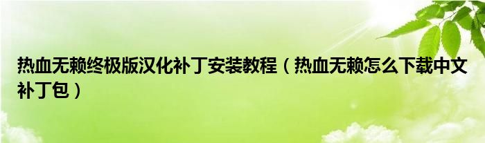 热血无赖终极版汉化补丁安装教程（热血无赖怎么下载中文补丁包）