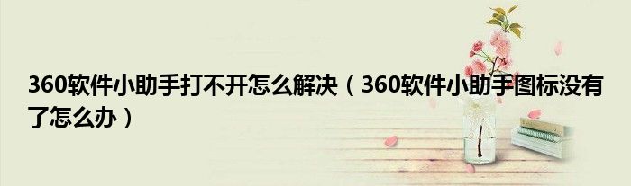 360软件小助手打不开怎么解决（360软件小助手图标没有了怎么办）