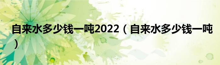 自来水多少钱一吨2022（自来水多少钱一吨）