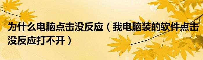 为什么电脑点击没反应（我电脑装的软件点击没反应打不开）