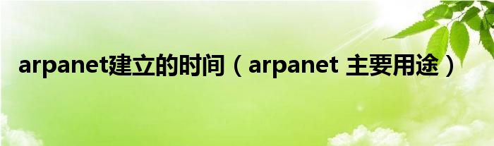 arpanet建立的时间（arpanet 主要用途）