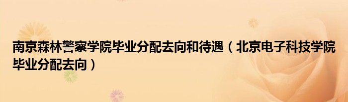 南京森林警察学院毕业分配去向和待遇（北京电子科技学院毕业分配去向）