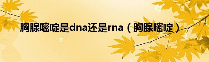 胸腺嘧啶是dna还是rna（胸腺嘧啶）