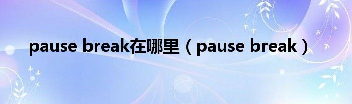 pause break在哪里（pause break）