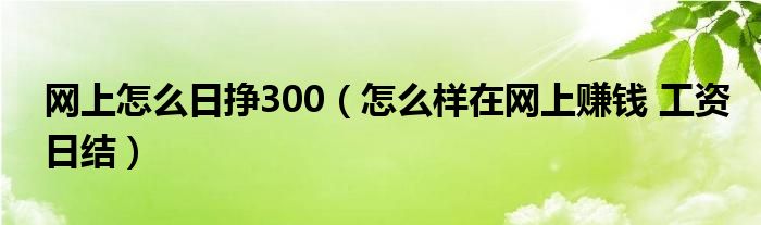 网上怎么日挣300（怎么样在网上赚钱 工资日结）