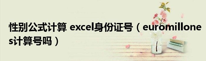 性别公式计算 excel身份证号（euromillones计算号吗）