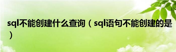 sql不能创建什么查询（sql语句不能创建的是）