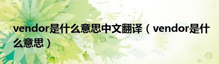 vendor是什么意思中文翻译（vendor是什么意思）