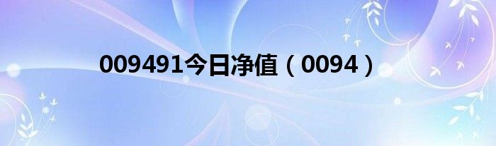 009491今日净值（0094）