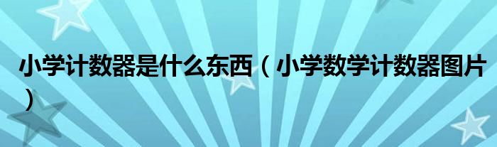 小学计数器是什么东西（小学数学计数器图片）