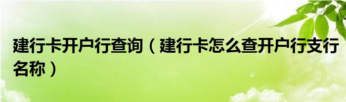 建行卡开户行查询（建行卡怎么查开户行支行名称）