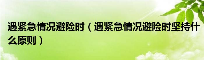 遇紧急情况避险时（遇紧急情况避险时坚持什么原则）