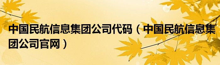 中国民航信息集团公司代码（中国民航信息集团公司官网）