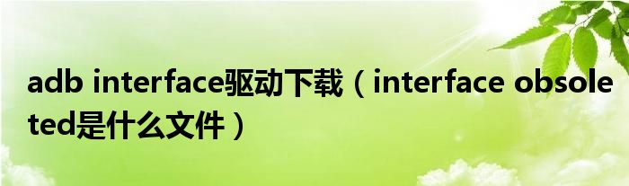 adb interface驱动下载（interface obsoleted是什么文件）