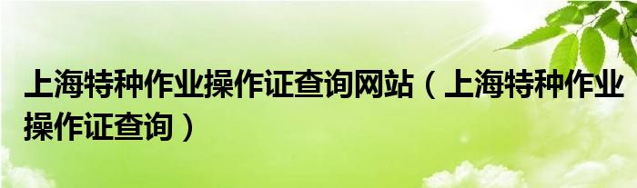 上海特种作业操作证查询网站（上海特种作业操作证查询）