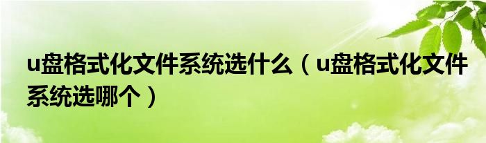 u盘格式化文件系统选什么（u盘格式化文件系统选哪个）