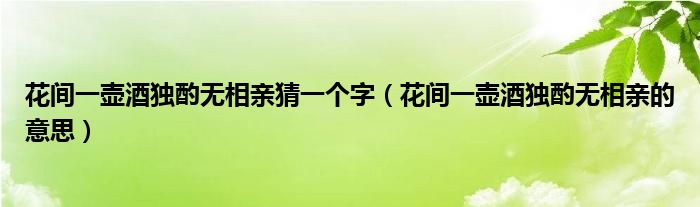 花间一壶酒独酌无相亲猜一个字（花间一壶酒独酌无相亲的意思）