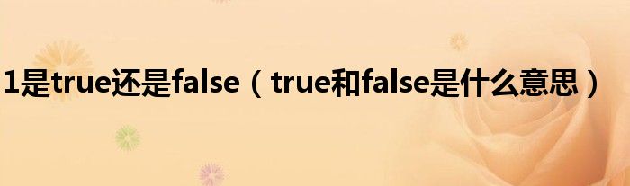 1是true还是false（true和false是什么意思）