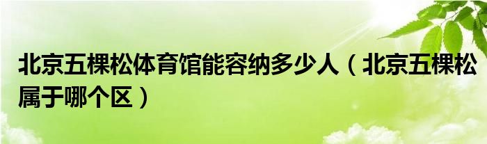 北京五棵松体育馆能容纳多少人（北京五棵松属于哪个区）