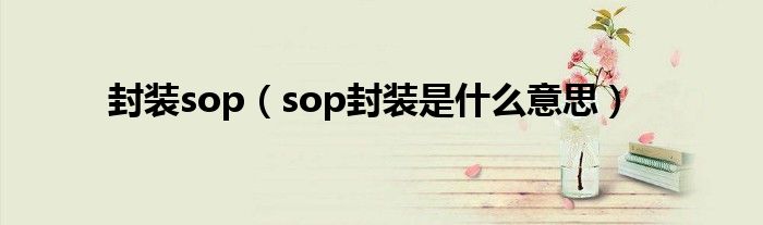 封装sop（sop封装是什么意思）