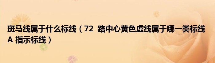 斑马线属于什么标线（72  路中心黄色虚线属于哪一类标线 A 指示标线）