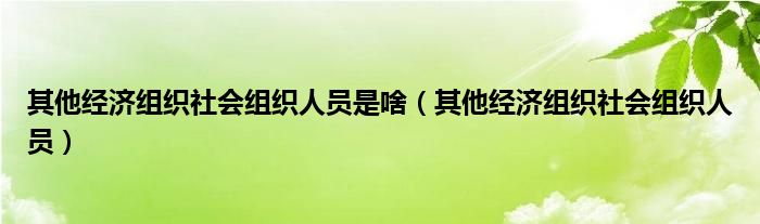 其他经济组织社会组织人员是啥（其他经济组织社会组织人员）