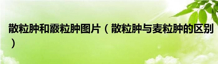 散粒肿和霰粒肿图片（散粒肿与麦粒肿的区别）