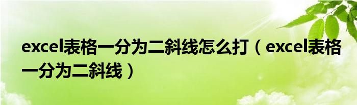 excel表格一分为二斜线怎么打（excel表格一分为二斜线）