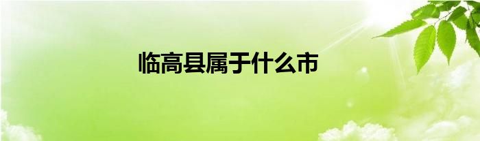 临高县属于什么市