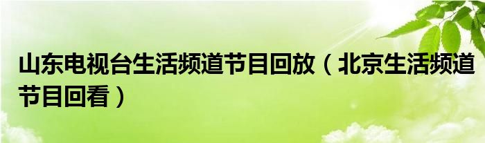 山东电视台生活频道节目回放（北京生活频道节目回看）