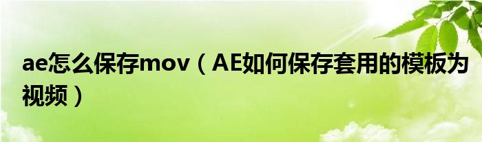 ae怎么保存mov（AE如何保存套用的模板为视频）