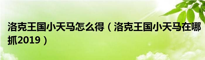 洛克王国小天马怎么得（洛克王国小天马在哪抓2019）