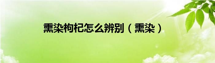 熏染枸杞怎么辨别（熏染）