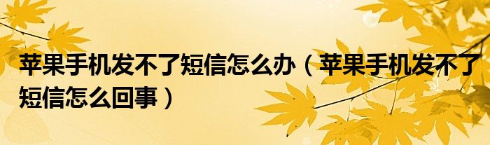 苹果手机发不了短信怎么办（苹果手机发不了短信怎么回事）