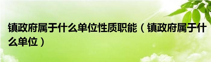 镇政府属于什么单位性质职能（镇政府属于什么单位）