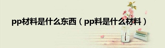 pp材料是什么东西（pp料是什么材料）