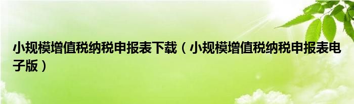 小规模增值税纳税申报表下载（小规模增值税纳税申报表电子版）