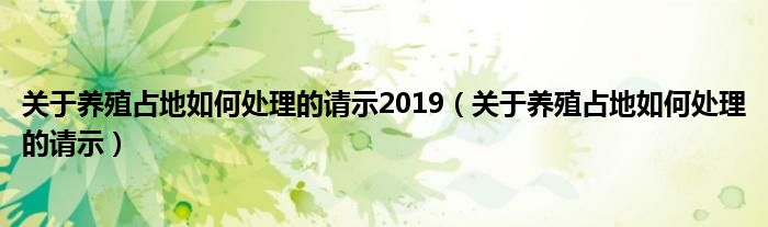 关于养殖占地如何处理的请示2019（关于养殖占地如何处理的请示）