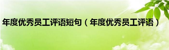 年度优秀员工评语短句（年度优秀员工评语）