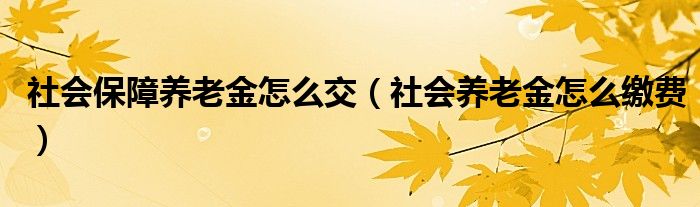 社会保障养老金怎么交（社会养老金怎么缴费）