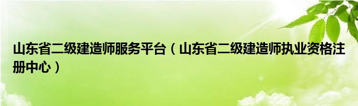 山东省二级建造师服务平台（山东省二级建造师执业资格注册中心）