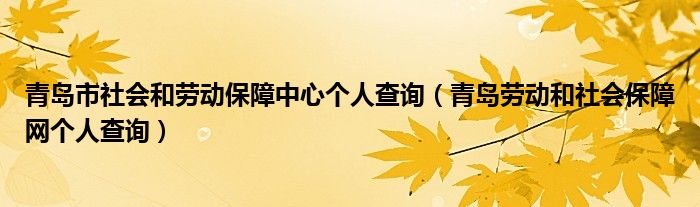 青岛市社会和劳动保障中心个人查询（青岛劳动和社会保障网个人查询）