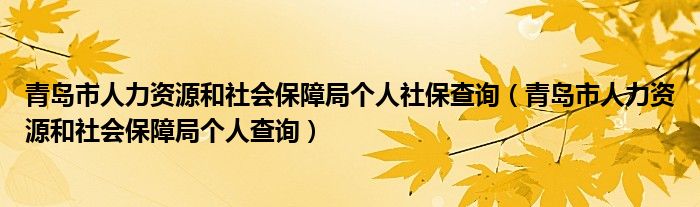 青岛市人力资源和社会保障局个人社保查询（青岛市人力资源和社会保障局个人查询）