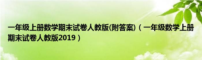 一年级上册数学期末试卷人教版(附答案)（一年级数学上册期末试卷人教版2019）