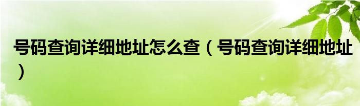 号码查询详细地址怎么查（号码查询详细地址）